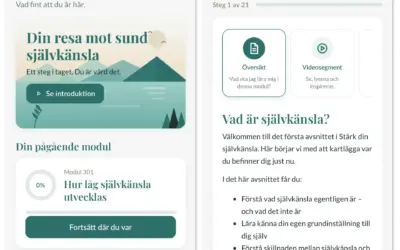 Min självkänslabok